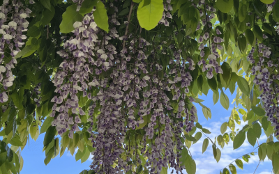 Instead of Horror, Hope