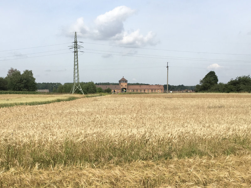 A field of wheat in front of the gates of Auschwitz-Birkenau.